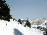 Alta Val Badia (146), Dolomiti (70), Il Sas de la cruz (1), Sci Alpino (290)